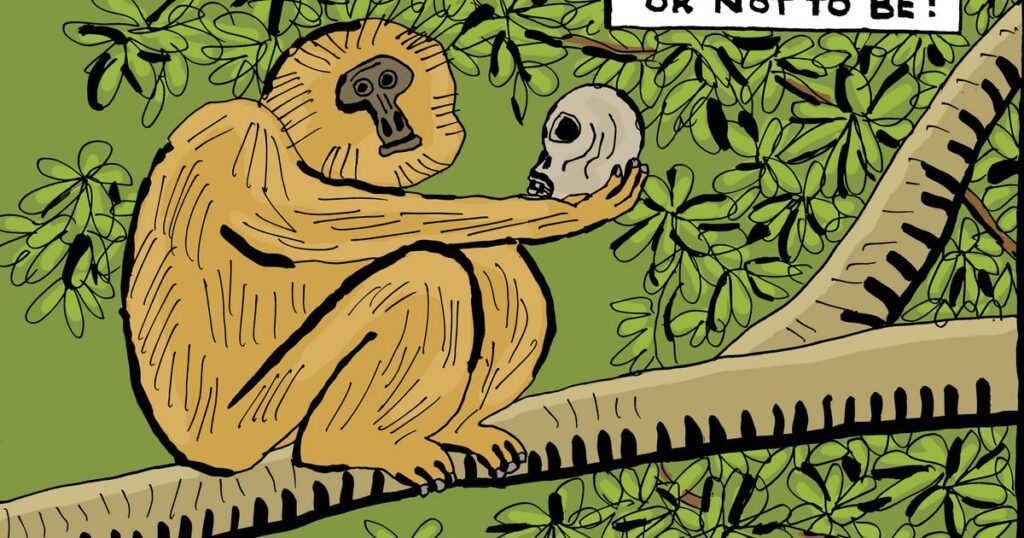 Pourquoi les singes n’écriront pas l’œuvre de Shakespeare