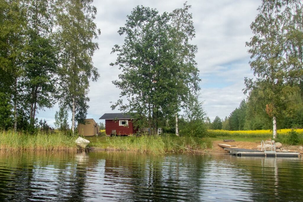 Finlande : le bonheur est dans la forêt