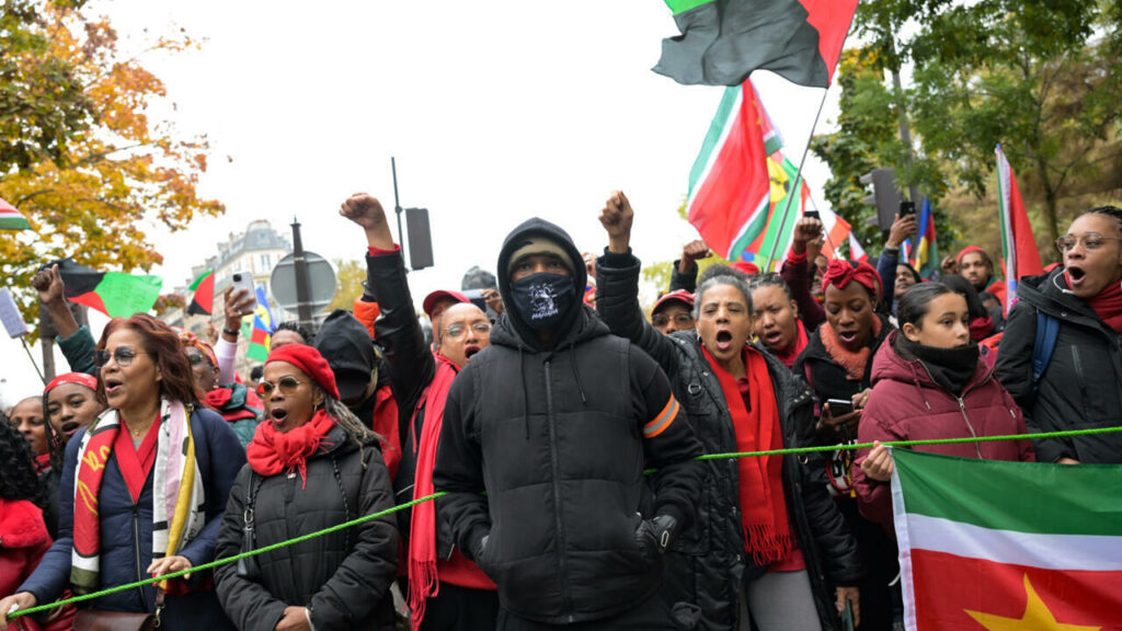 À Paris, des milliers de personnes "vent debout" contre la vie chère en Outre-mer