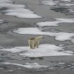 PODCAST. Ouverture d'une COP29 déjà critiquée, le match France-Israël à haut risque et un Vendée Globe pas écolo : ça dit quoi ce 11 novembre ?