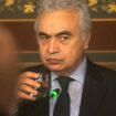 COP29 : Fatih Birol, le « poil à gratter » des pétroliers qui martèle que « l’avenir du système énergétique est électrique »