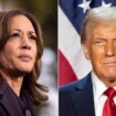 Media liberals savage Kamala as Trump picks experienced hard-liners