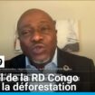 Cop29 : l'appel de la RD Congo face à la déforestation