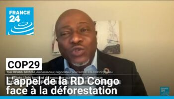 Cop29 : l'appel de la RD Congo face à la déforestation