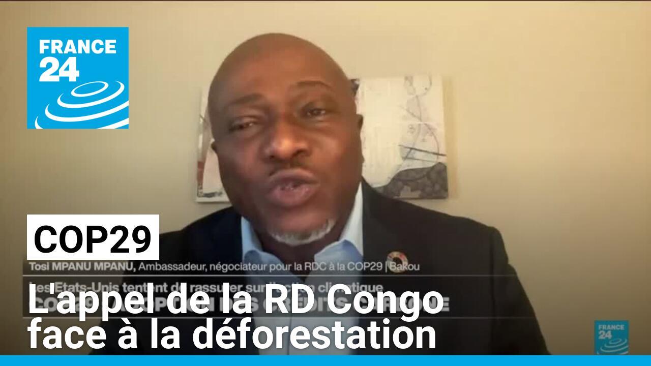 Cop29 : l'appel de la RD Congo face à la déforestation