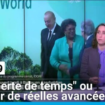 Cop29 : une "perte de temps" ou l'espoir de réelles avancées ?