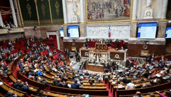 Budget 2025 : la partie « recettes », profondément remaniée, soumise au vote des députés à partir de 16h30