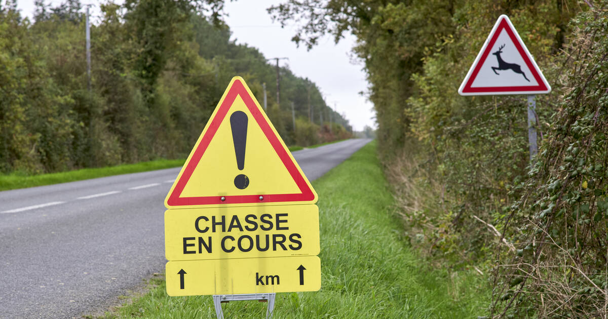 Chasse : un cheval tué et deux hommes blessés, dont l’un par balle, en une semaine