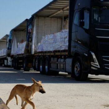 Face à l’ultimatum américain, Israël desserre (un peu) l’étau à Gaza