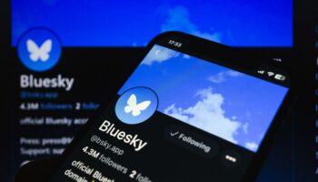 Après l’élection de Trump, Bluesky enregistre un bond de 700 000 nouveaux membres en une semaine