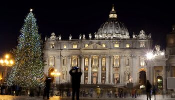 En Italie, des militants écolos exhortent le pape à ne pas « sacrifier » un arbre vieux de 200 ans pour Noël