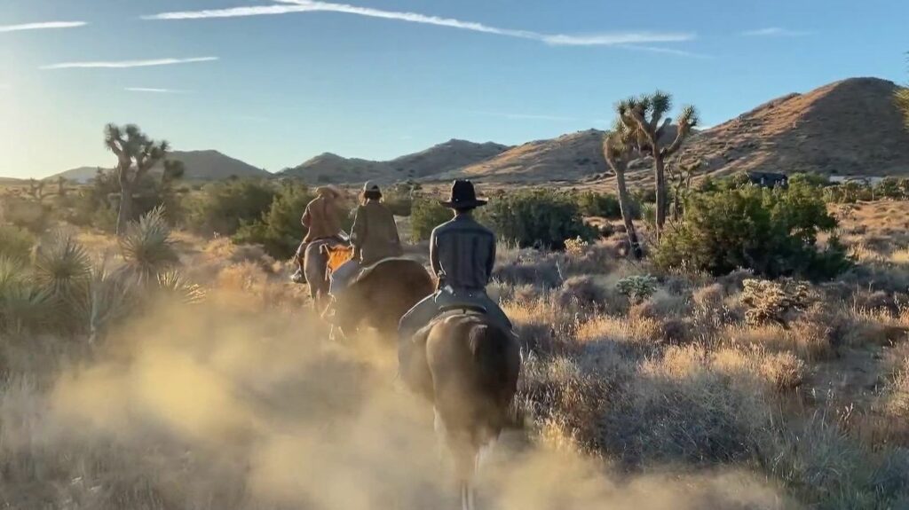 En Californie, le désert de Joshua Tree plonge les visiteurs dans un autre monde