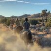 En Californie, le désert de Joshua Tree plonge les visiteurs dans un autre monde