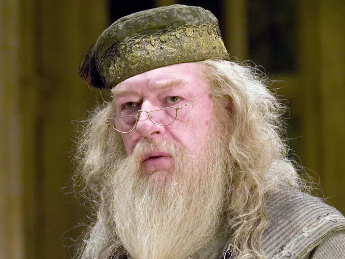 Harry Potter TV show’s first choice for Dumbledore ‘revealed’