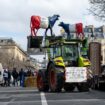 Agriculteurs en colère : la FNSEA appelle à la mobilisation nationale « à partir de lundi »