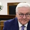 Ampel-Aus: Bundespräsident Steinmeier stimmt Zeitplan für Neuwahl zu