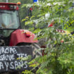 Les agriculteurs français lancent un appel à la mobilisation "à partir de lundi"