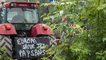 Les agriculteurs français lancent un appel à la mobilisation "à partir de lundi"