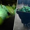 More than $31M in meth concealed in shipment of peppers seized at Texas-Mexico border