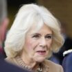 Royal news live: King Charles to celebrate milestone birthday in very unique way as Camilla continues recovery