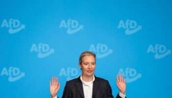 "Gesichert rechtsextrem"?: Verfassungsschutz will AfD erst nach der Neuwahl bewerten