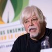 La détention de l’écologiste Paul Watson au Groenland prolongée jusqu’au 4 décembre