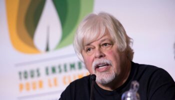 La détention de l’écologiste Paul Watson au Groenland prolongée jusqu’au 4 décembre