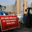 Manifestation d'agriculteurs contre l'accord de libre-échange entre entre l'UE et les pays du Mercosur, le 13 novembre 2024 à Bruxelles