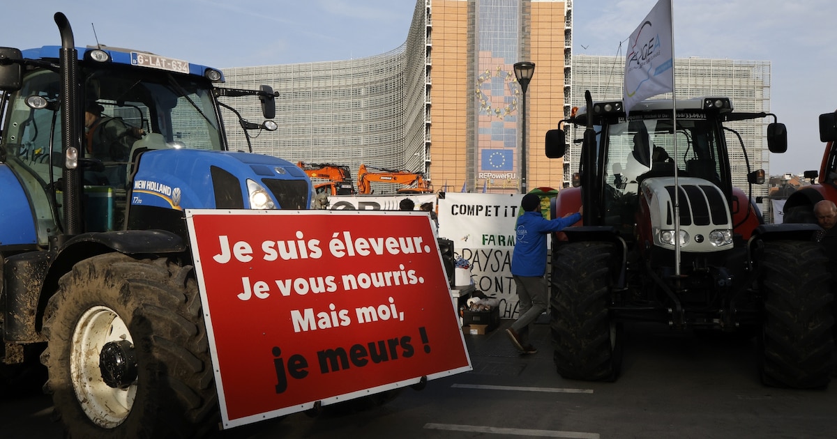 Manifestation d'agriculteurs contre l'accord de libre-échange entre entre l'UE et les pays du Mercosur, le 13 novembre 2024 à Bruxelles