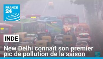 Inde : la ville de New Delhi connaît son premier pic de pollution de la saison