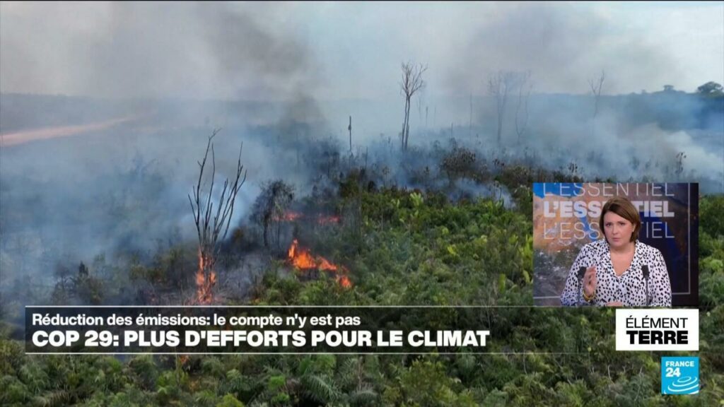 Baisse des émissions de gaz à effet de serre : le Brésil présente son plan et relève ses ambitions