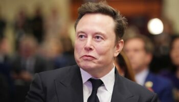 « DOGE », ce détail sur le nom du futur ministère d’Elon Musk qui ne passe pas inaperçu