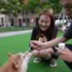 Chine : quand les animaux de compagnie prennent la place des enfants