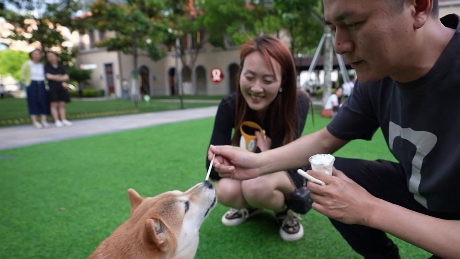 Chine : quand les animaux de compagnie prennent la place des enfants