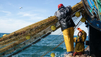 Une pêche durable est-elle encore possible ?