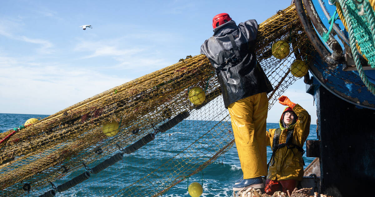 Une pêche durable est-elle encore possible ?