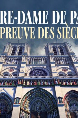 Notre-Dame de Paris plein les yeux, de nombreuses avant-premières télévisées avant la réouverture au public