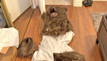 Insurance fraud arrests after 'person in bear costume' damages cars