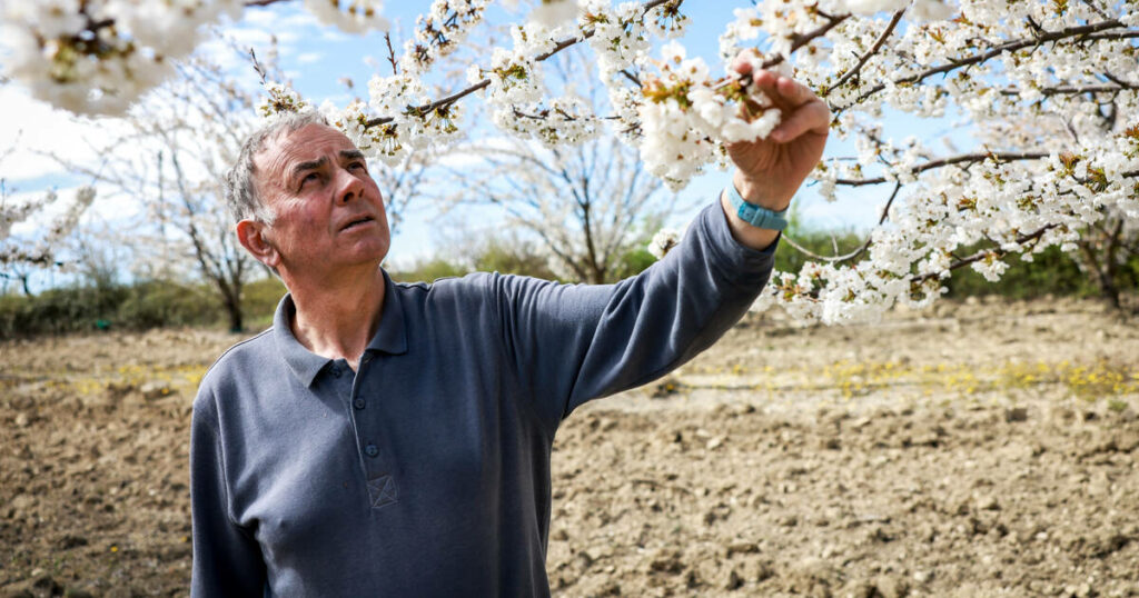 Acte II de la colère agricole : «Je ne suis pas un fana des pesticides, mais je n’ai pas d’autre solution»