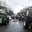 Crise des agriculteurs : des mobilisations dans "tous les départements", la colère monte