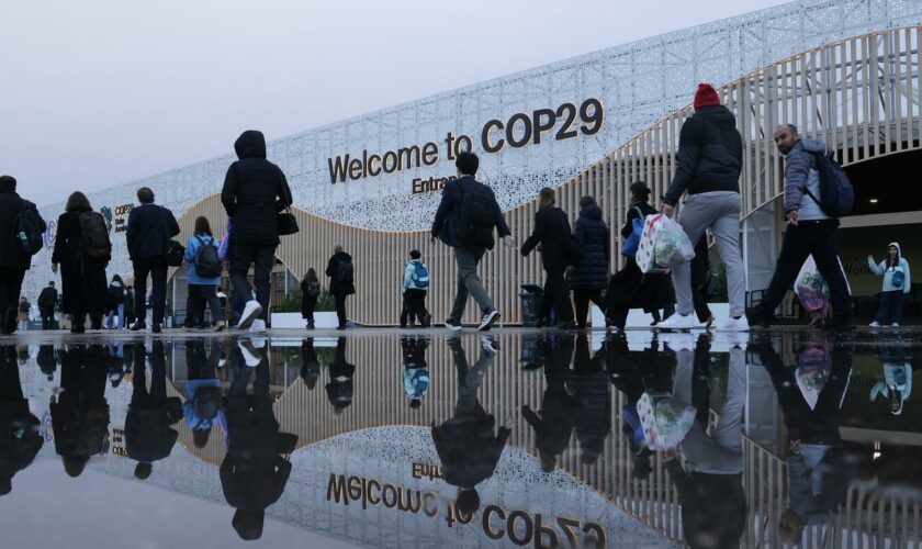 COP29: Argentinien ruft Delegation von Weltklimakonferenz zurück