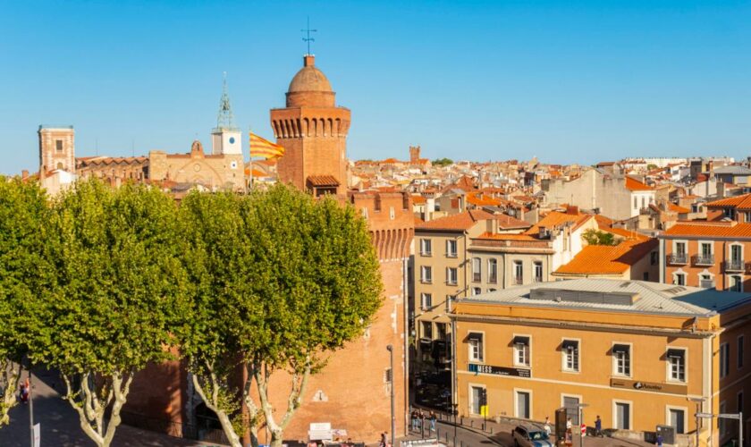 Perpignan, une ville à fort potentiel : « C’est l’une des moins chères du littoral méditerranéen »