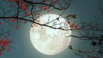 La pleine Lune du Castor va booster les amours de tous ces signes, les astrologues sont formels