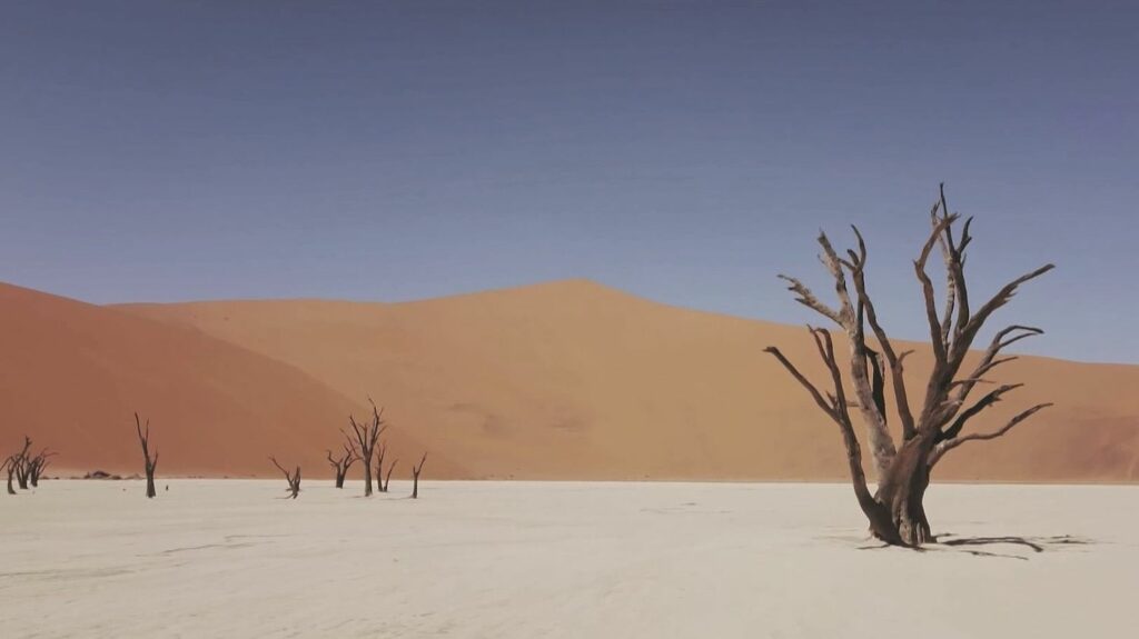 En Namibie, le plus vieux désert du monde offre ses hauteurs et ses paysages extraterrestres aux visiteurs