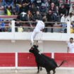 Corrida et mineurs : le Sénat rejette (massivement) l’interdiction pour les moins de 16 ans