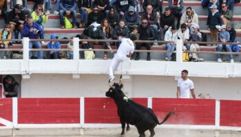 Corrida et mineurs : le Sénat rejette (massivement) l’interdiction pour les moins de 16 ans