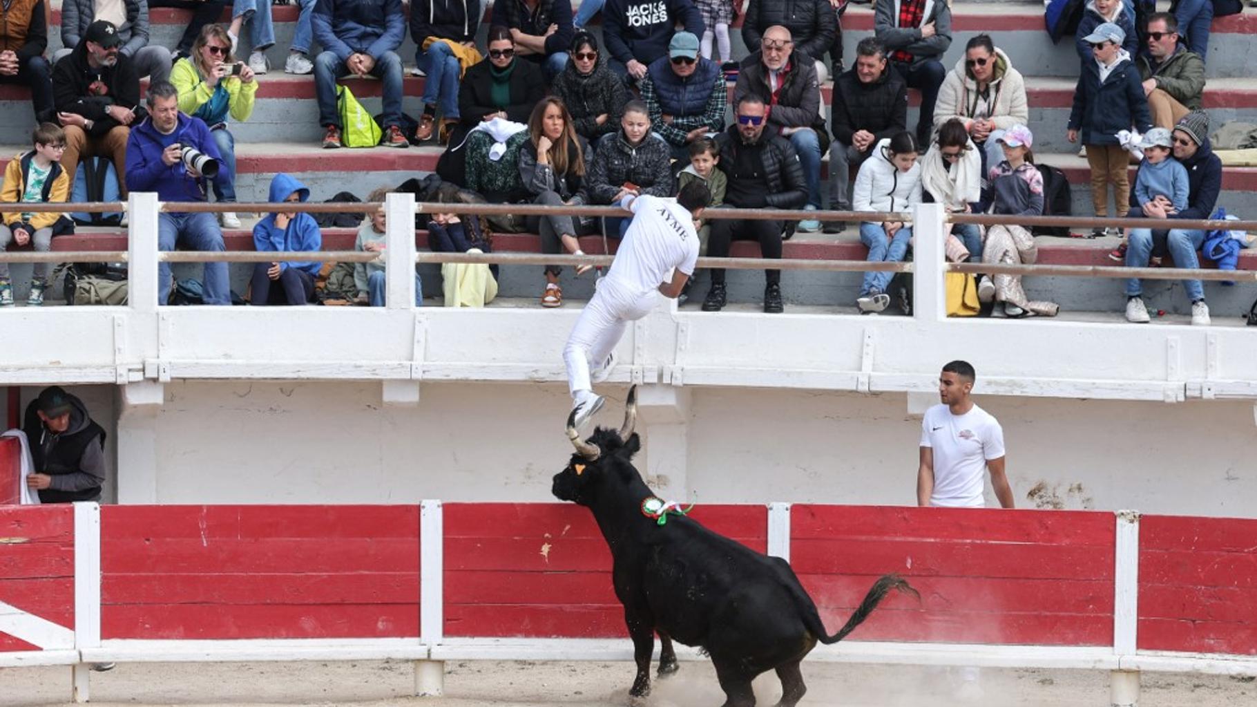 Corrida et mineurs : le Sénat rejette (massivement) l’interdiction pour les moins de 16 ans