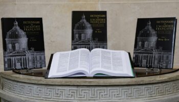 Nouveau dictionnaire de l'Académie française : "À peine terminé, il ne sert pas à grand-chose", déplore le linguiste Médéric Gasquet-Cyrus