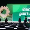 Grüne schicken viele Wirtschaftspolitiker in den Wahlkampf