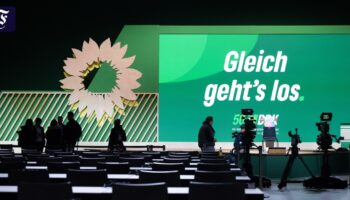 Grüne schicken viele Wirtschaftspolitiker in den Wahlkampf